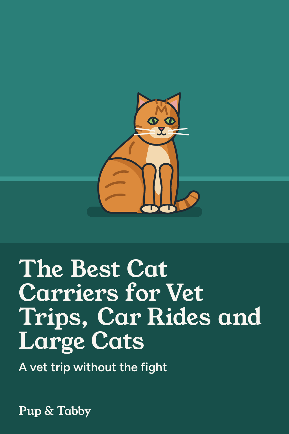 Pin: The Best Cat Carriers for Vet Trips, Car Rides and Large Cats