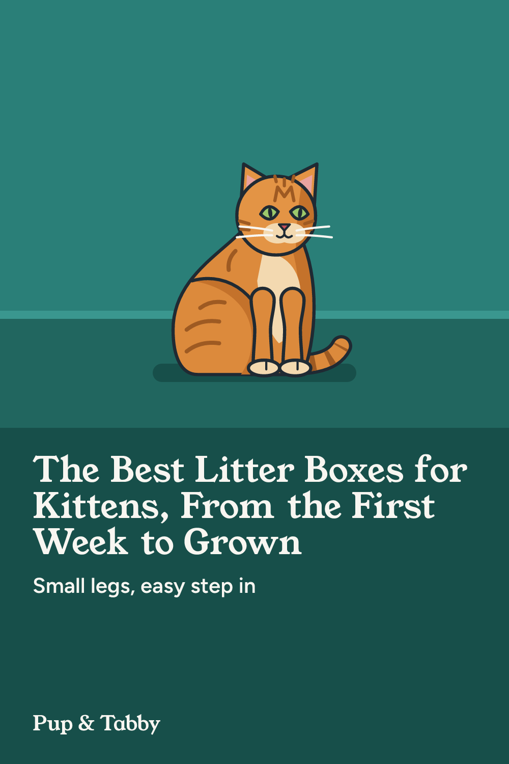 Pin: The Best Litter Boxes for Kittens, From the First Week to Grown